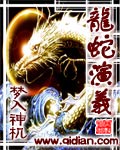 龍蛇縯義小說封面