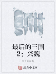 最後的三國2：興魏小說封面