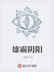 雄霸隂陽小說封面