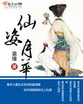 仙姿月華小說封面